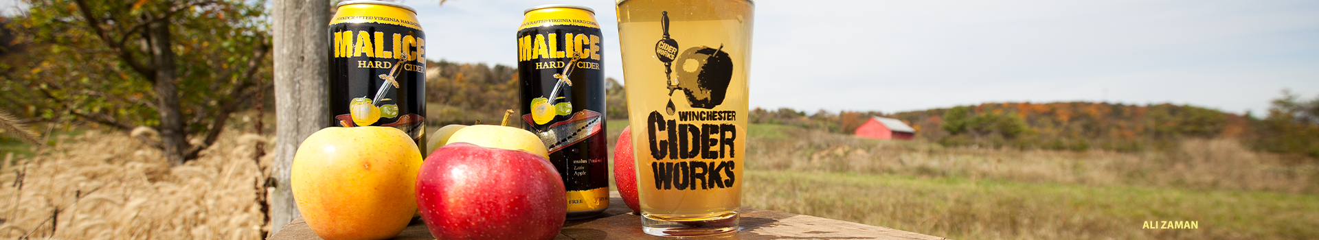 WinchesterCiderWorks_AliZamanCredit