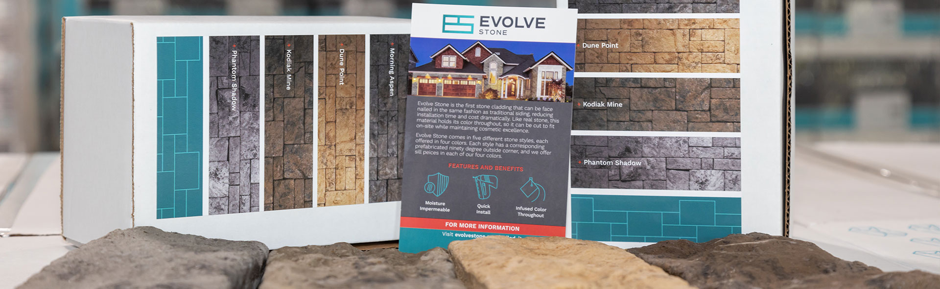 Evolve Services